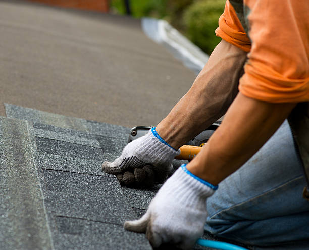 Best Storm Damage Roof Repair  in Bellerose, NY
